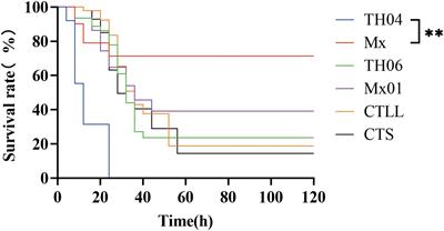 Transcriptome and metabolome for identifying key metabolites impacting the Vibrio parahaemolyticus in Litopenaeus vannamei